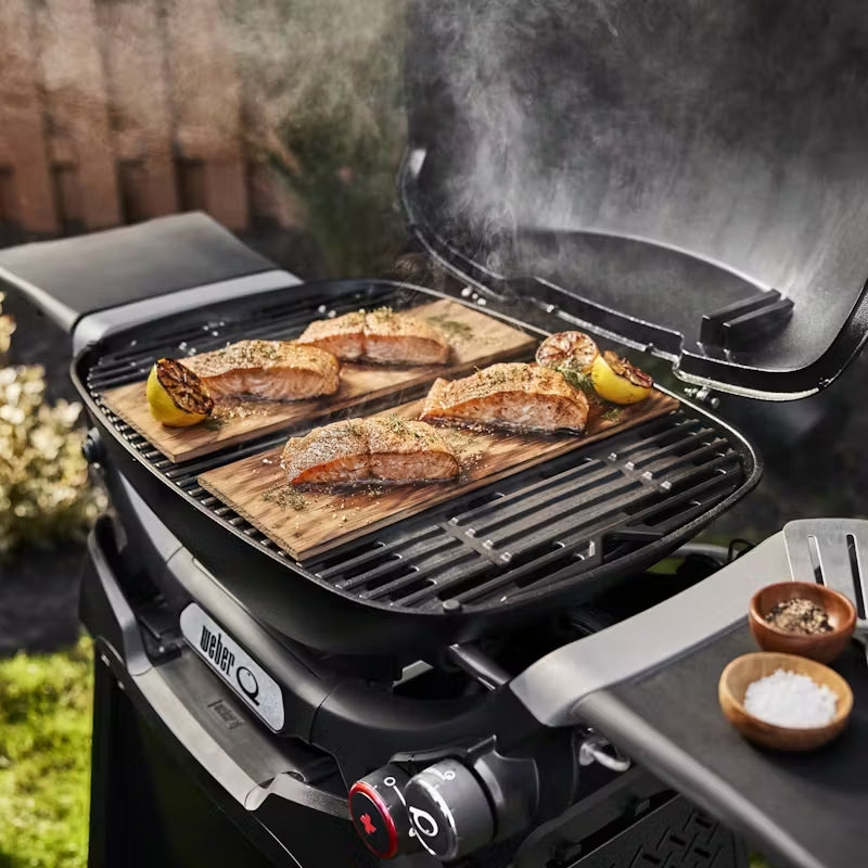 Asador de gas Weber Q 2800N+ Con carrito