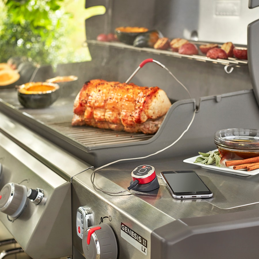 iGrill Mini