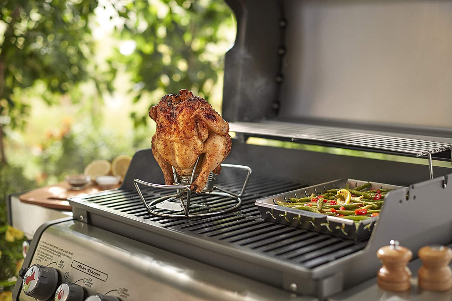 Asador para aves