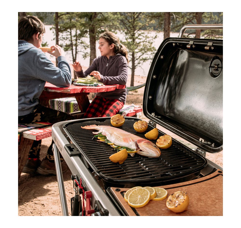 Asador de gas Weber Traveler