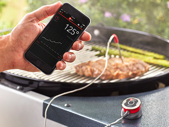 iGrill Mini